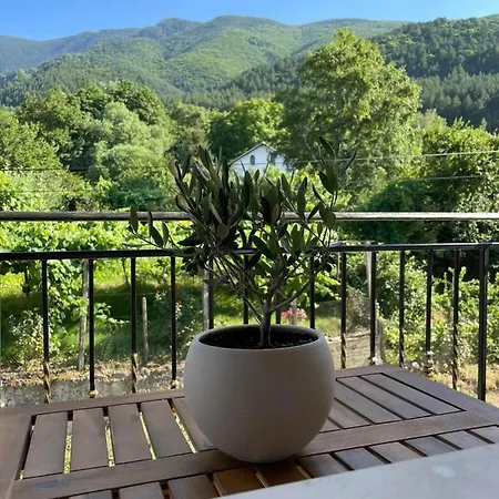 никола и мария ספרבה בניה