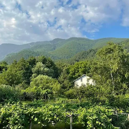 никола и мария بيت ضيافة ساباريفا بانيا