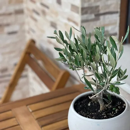 никола и мария בית הארחה *