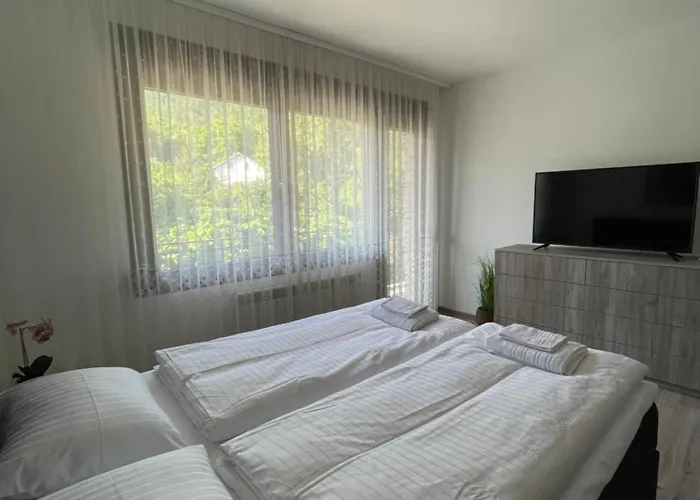 никола и мария Penzion Sapareva Banja