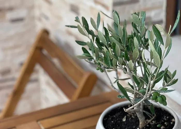 никола и мария Penzion *